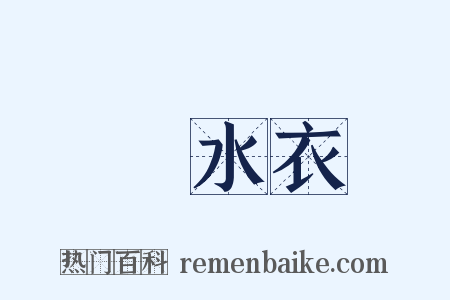 潛水衣是什么意思的图片